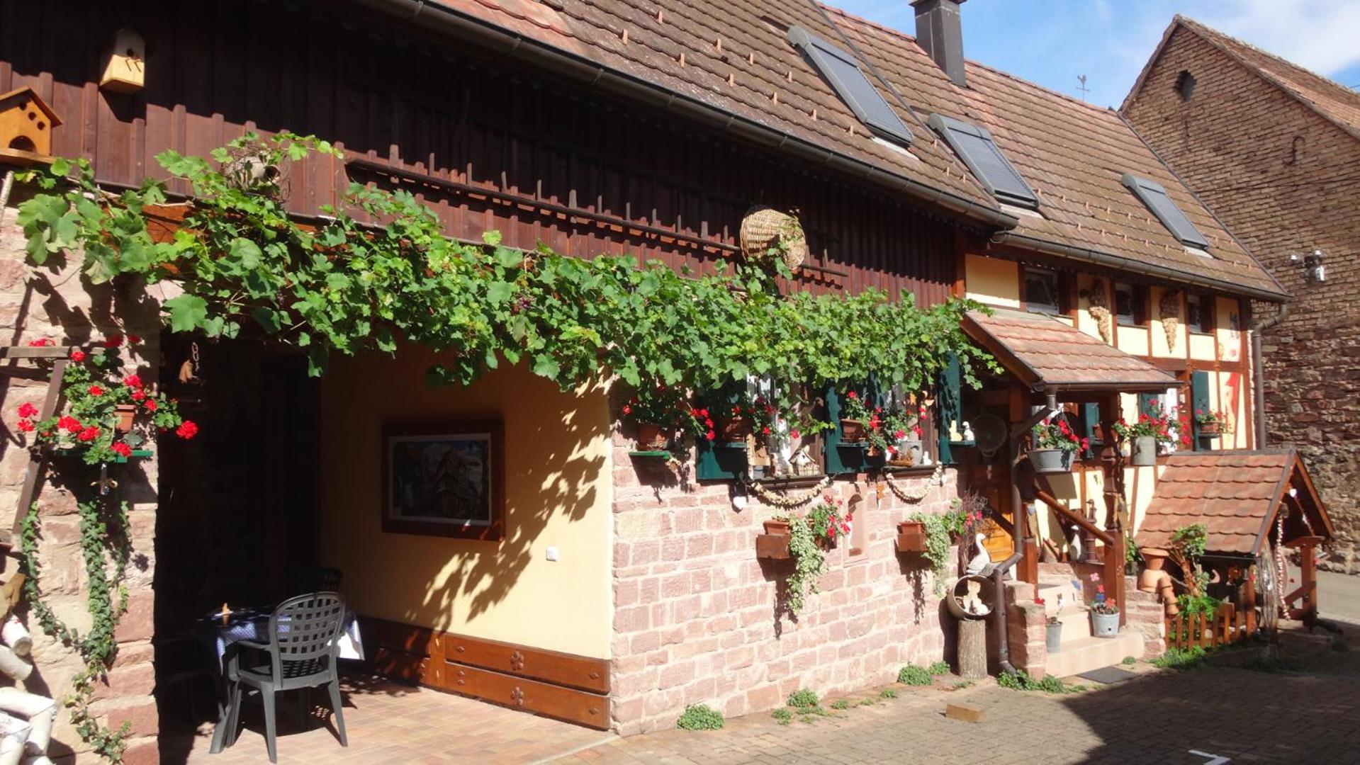 Gite Le Petit Moulin Rosenwiller 외부 사진