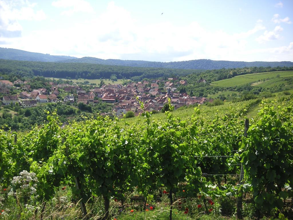Gite Le Petit Moulin Rosenwiller 외부 사진