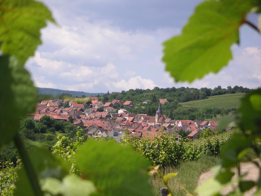 Gite Le Petit Moulin Rosenwiller 외부 사진