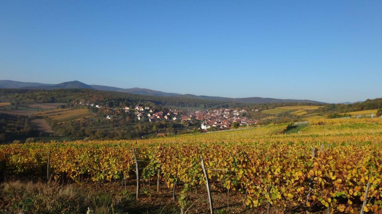 Gite Le Petit Moulin Rosenwiller 외부 사진