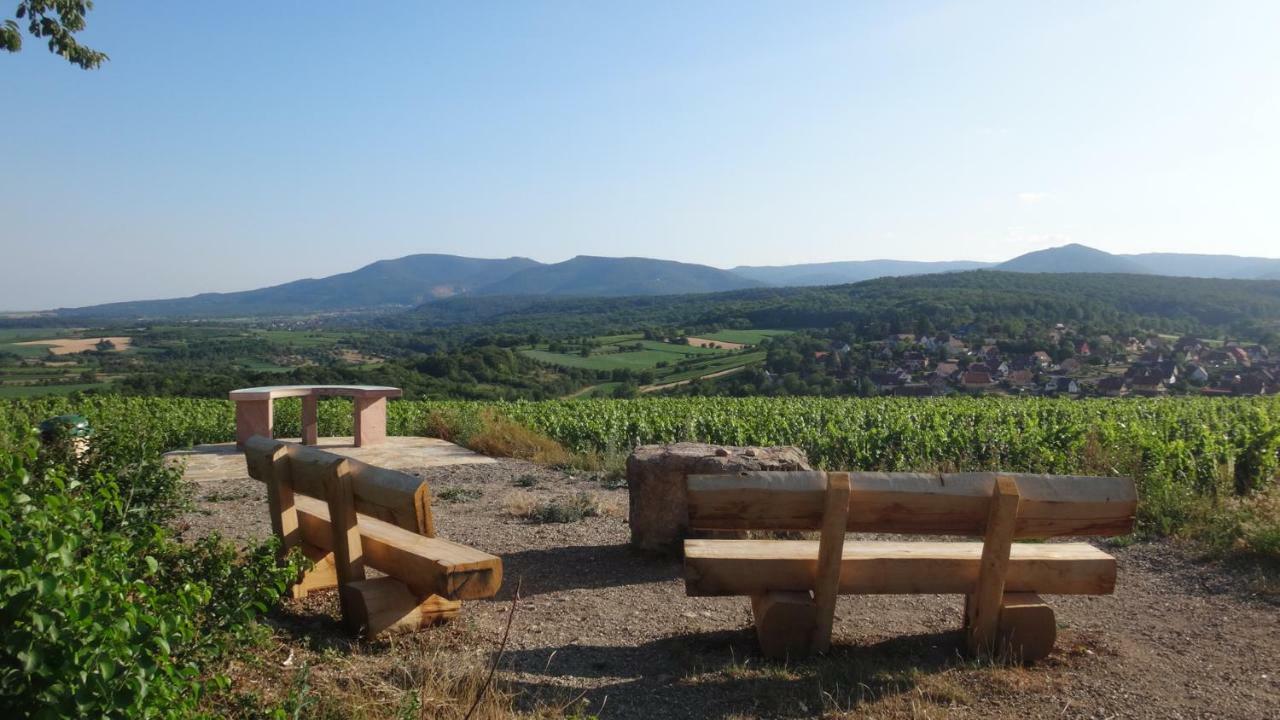 Gite Le Petit Moulin Rosenwiller 외부 사진
