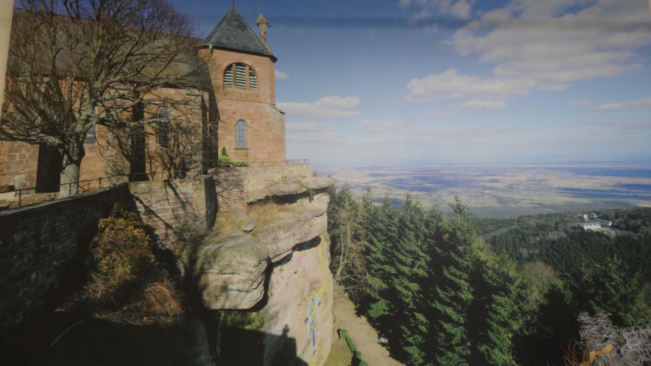 Gite Le Petit Moulin Rosenwiller 외부 사진