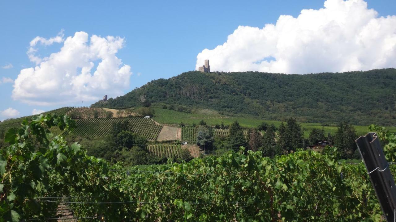 Gite Le Petit Moulin Rosenwiller 외부 사진